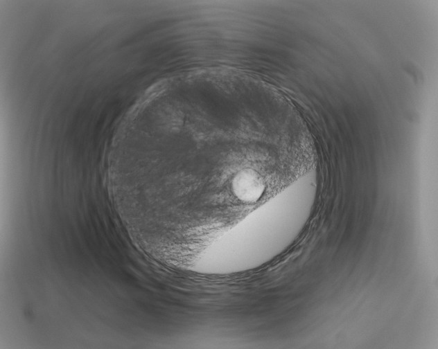 X0000114721011200910211047