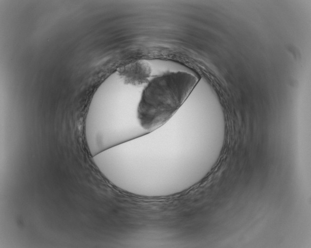 X0000114721013200910211047