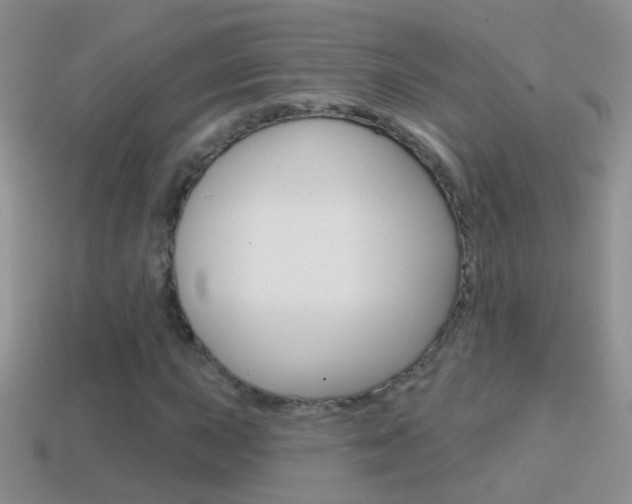 X0000114721015200910211047