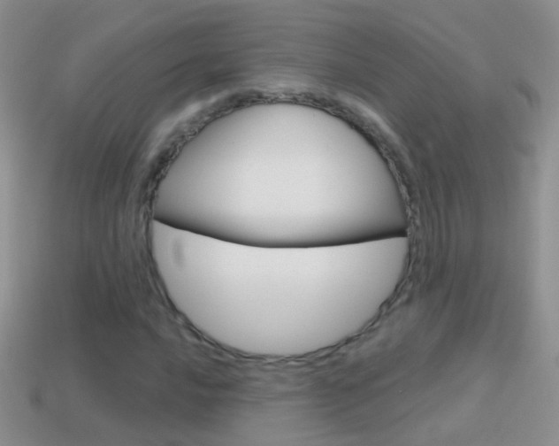 X0000114721016200910211047