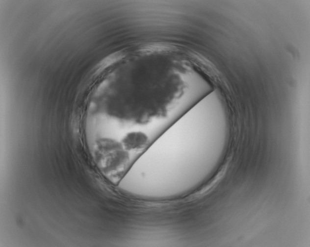X0000114721017200910211047