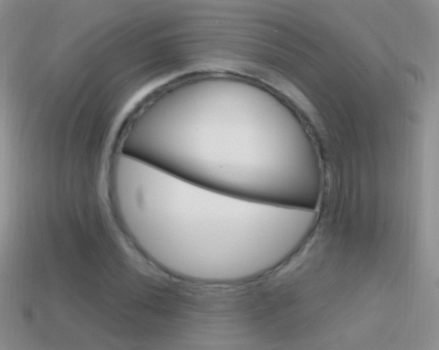 X0000114721020200910211047