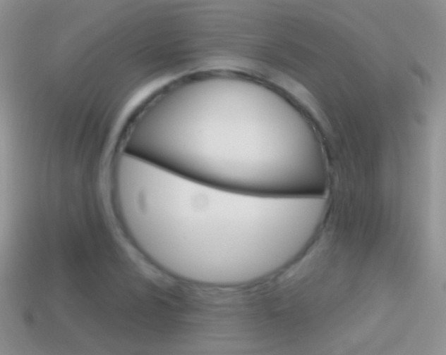 X0000114721024200910211047