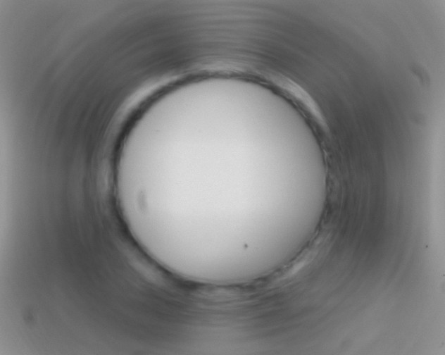 X0000114721027200910211047