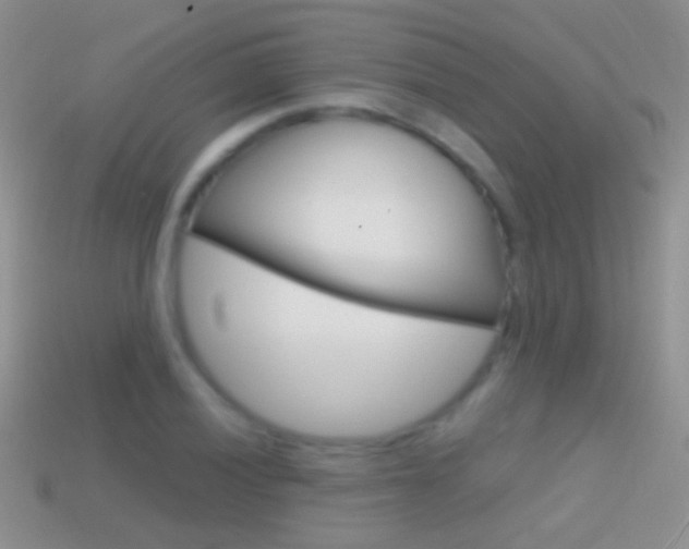 X0000114721028200910211047