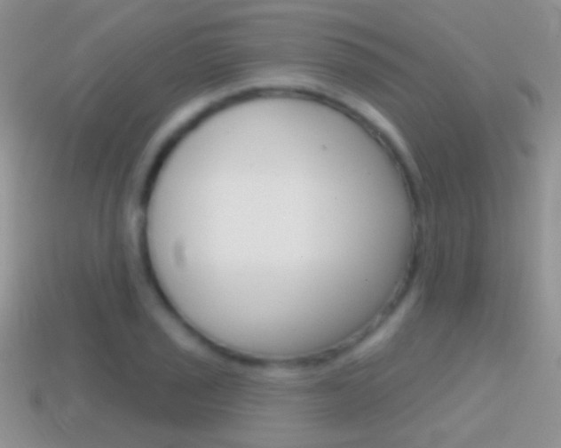 X0000114721029200910211047
