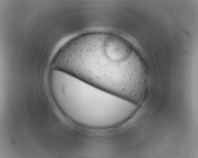 X0000114721030200910211047