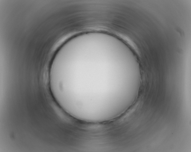 X0000114721031200910211047