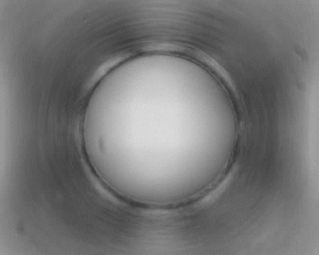 X0000114721033200910211047