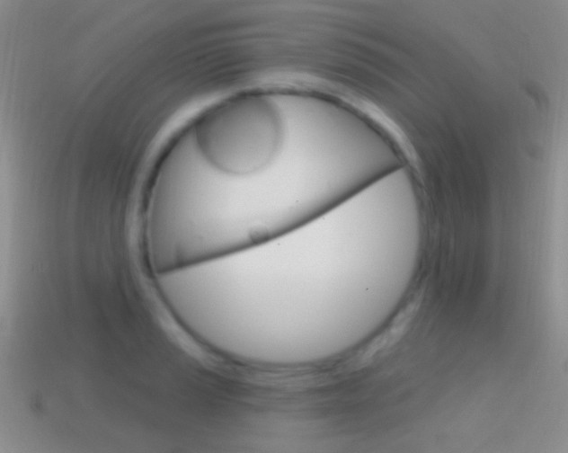 X0000114721037200910211047