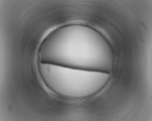 X0000114721038200910211047