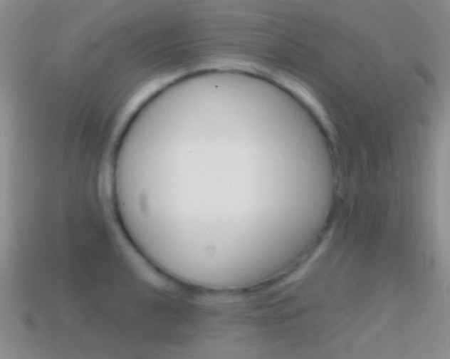 X0000114721040200910211047