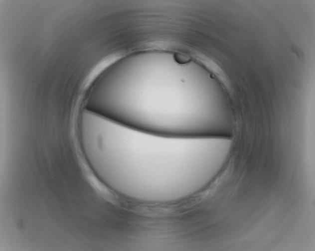 X0000114721042200910211047