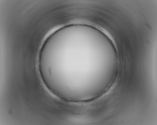 X0000114721045200910211047