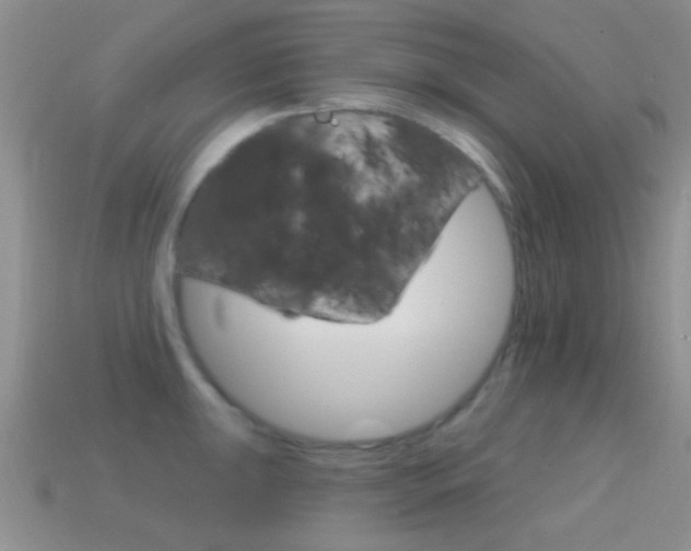 X0000114721047200910211047