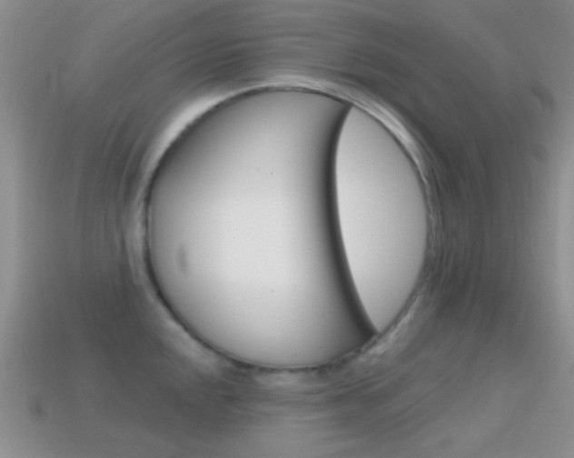 X0000114721048200910211047