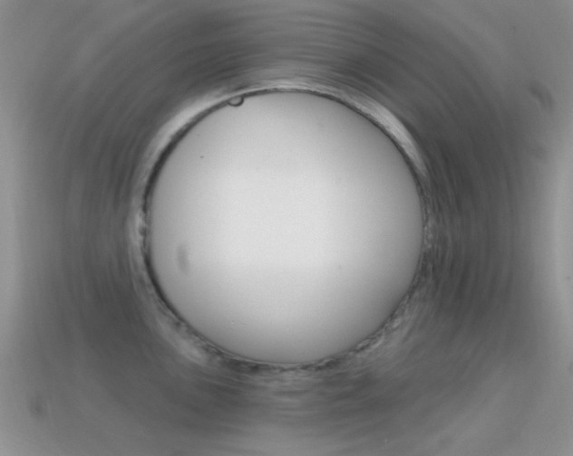 X0000114721051200910211047