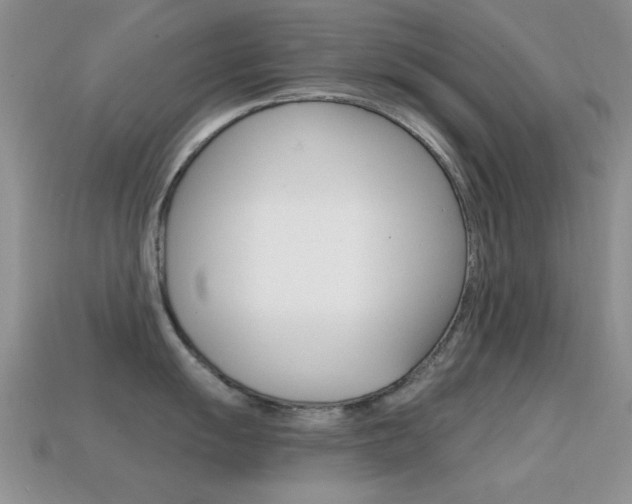 X0000114721055200910211047