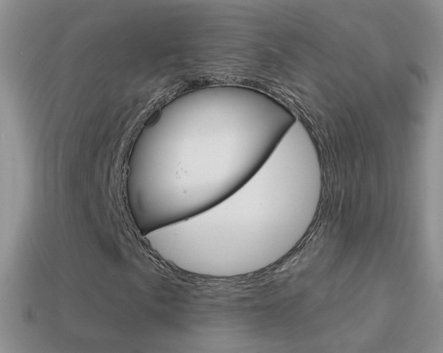 X0000114721057200910211047