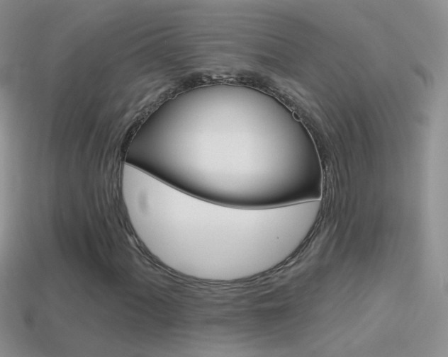 X0000114721060200910211047