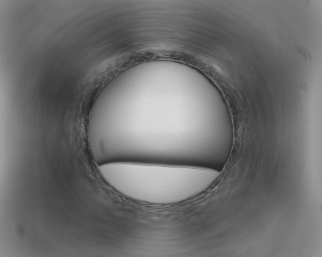 X0000114721062200910211047