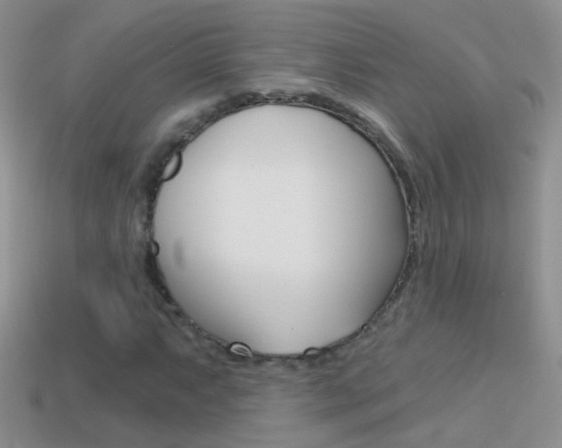 X0000114721063200910211047