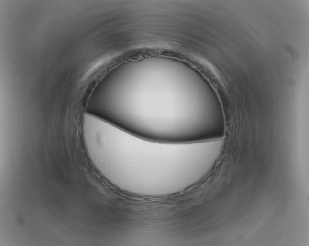 X0000114721064200910211047