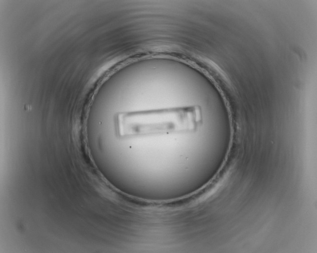 X0000114721065200910211047