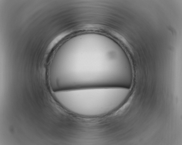 X0000114721066200910211047