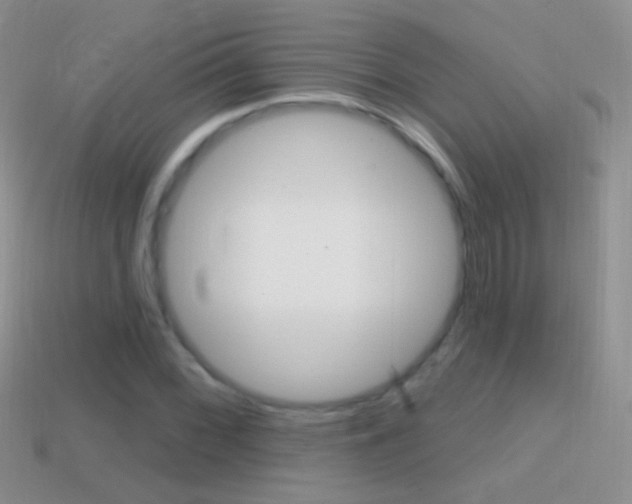 X0000114721068200910211047