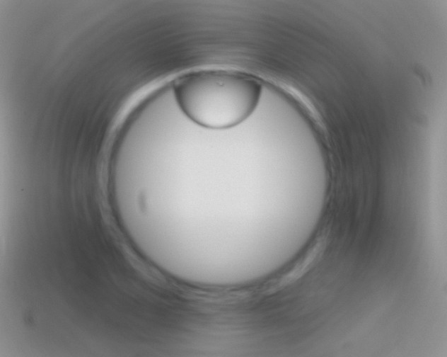 X0000114721077200910211046