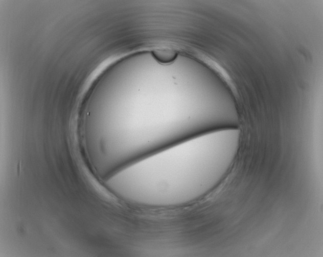X0000114721091200910211046