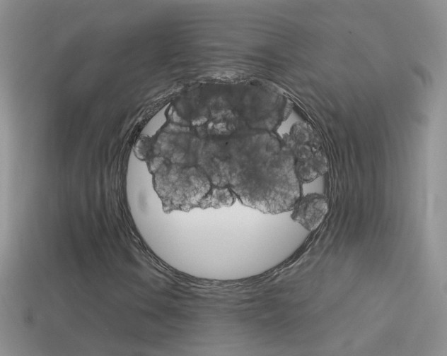 X0000114721106200910211045
