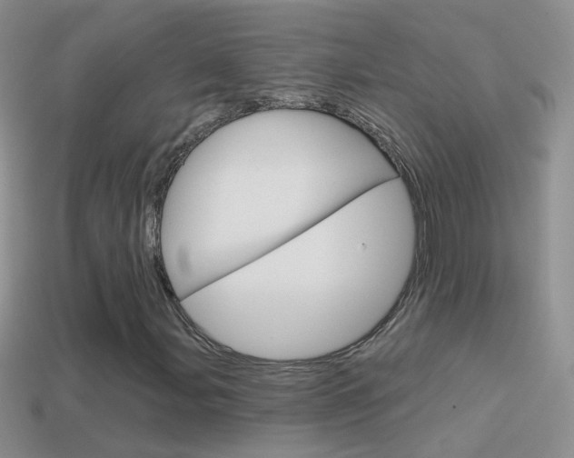 X0000114721107200910211045