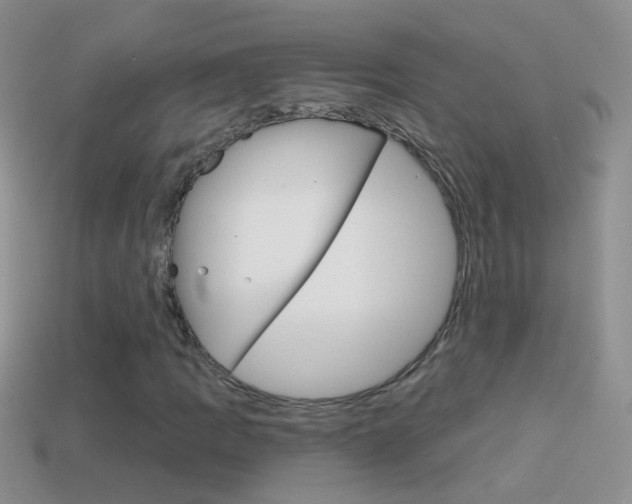 X0000114721109200910211045