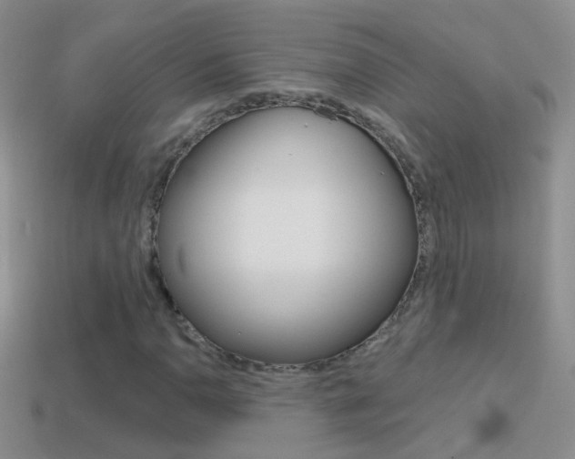 X0000114721110200910211045