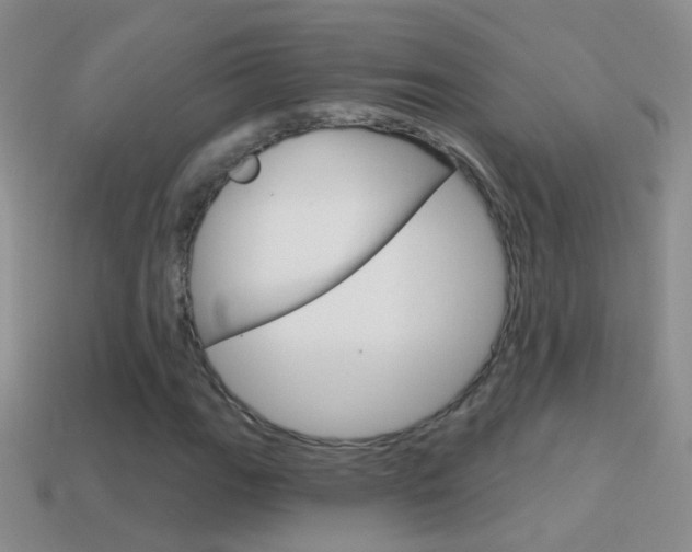 X0000114721111200910211045