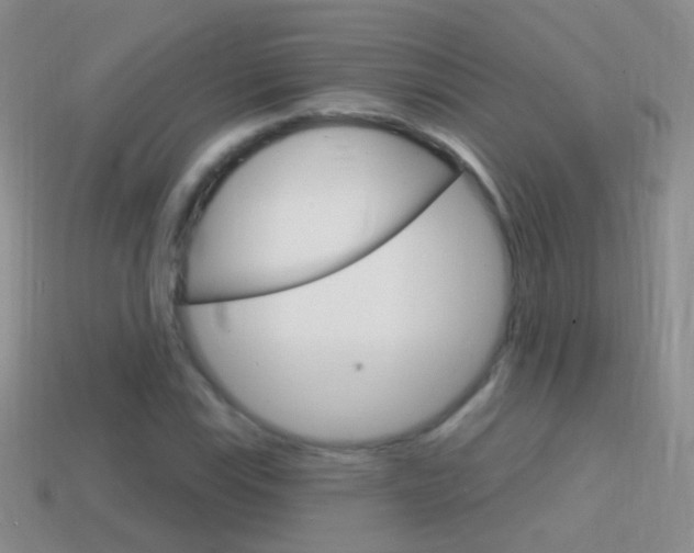 X0000114721115200910211045