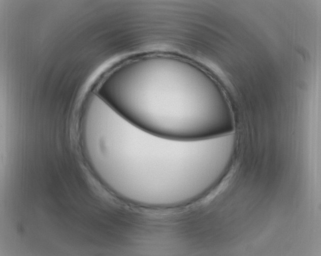 X0000114721118200910211045