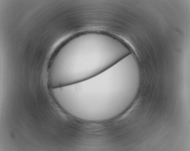 X0000114721119200910211045