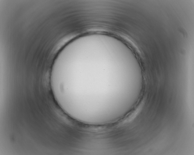 X0000114721121200910211045