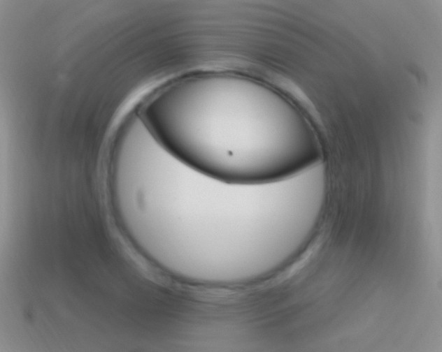 X0000114721122200910211045