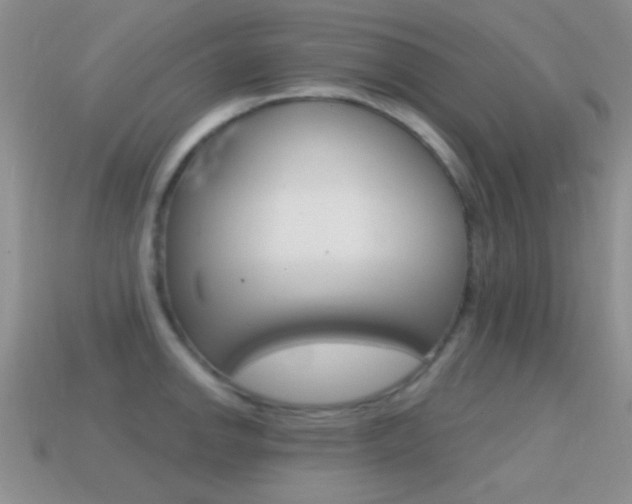 X0000114721142200910211046