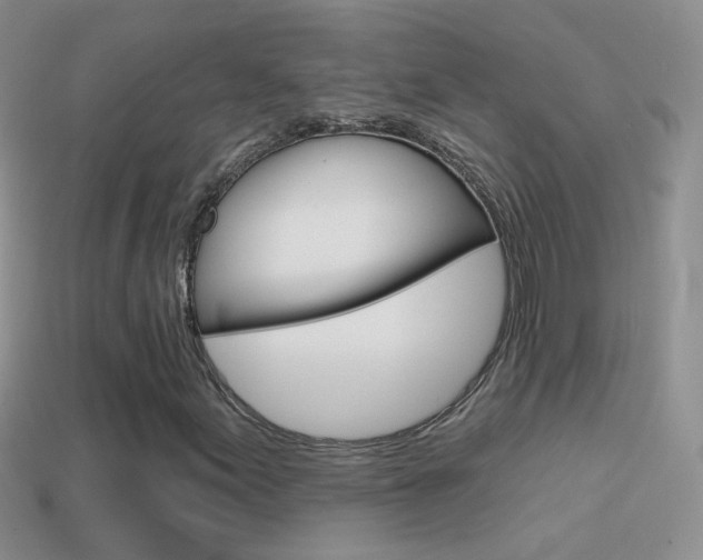 X0000114721155200910211045