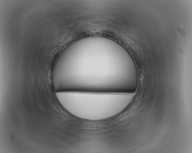 X0000114721156200910211045