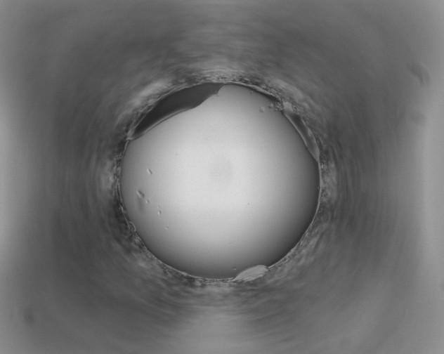 X0000114721157200910211045