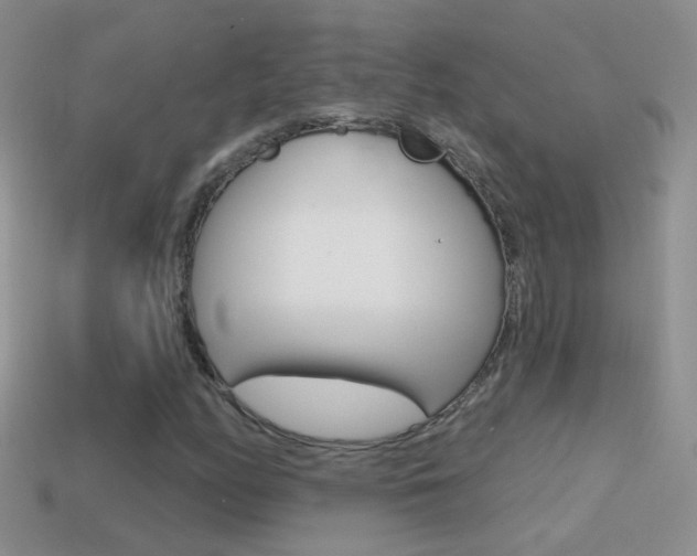X0000114721158200910211045