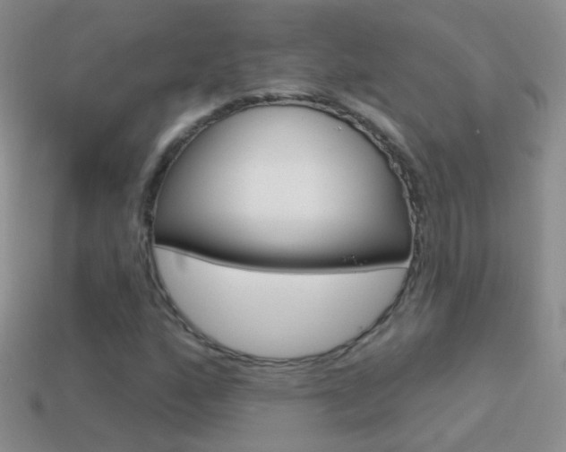 X0000114721160200910211045