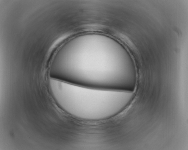 X0000114721164200910211045