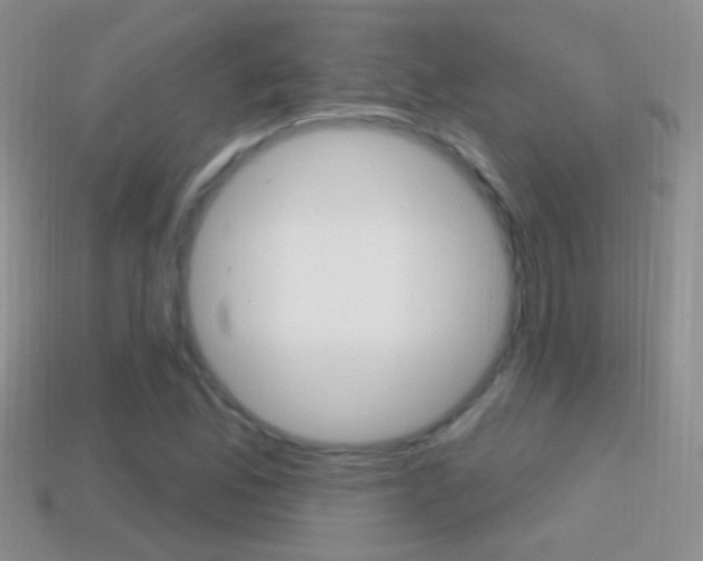 X0000114721165200910211045
